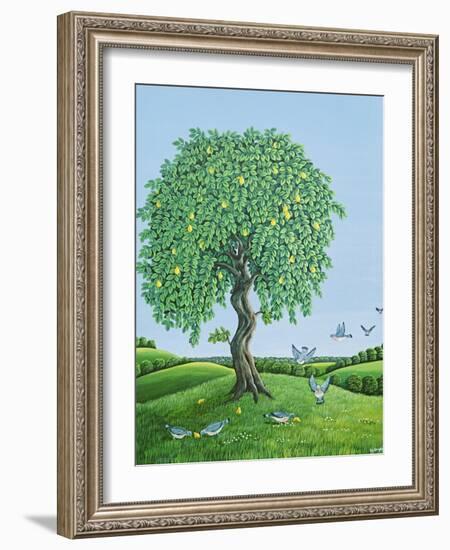 Quince Tree and Pigeons, 1983-Liz Wright-Framed Giclee Print