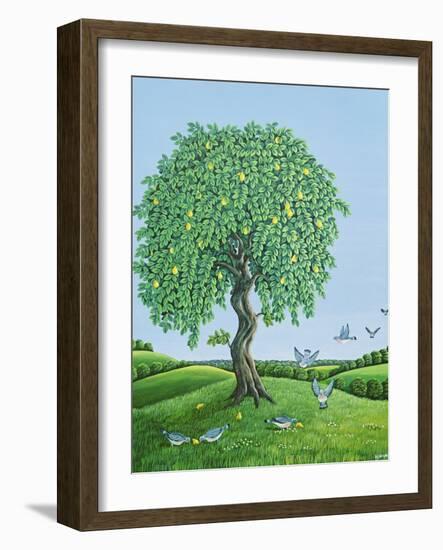 Quince Tree and Pigeons, 1983-Liz Wright-Framed Giclee Print