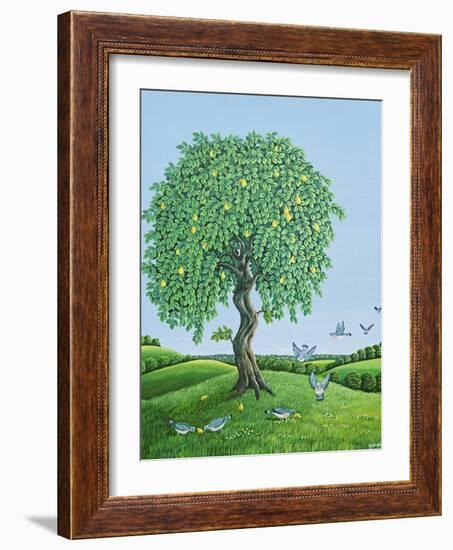 Quince Tree and Pigeons, 1983-Liz Wright-Framed Giclee Print