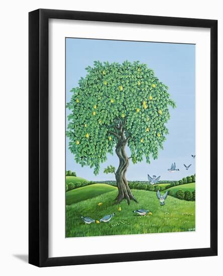 Quince Tree and Pigeons, 1983-Liz Wright-Framed Giclee Print