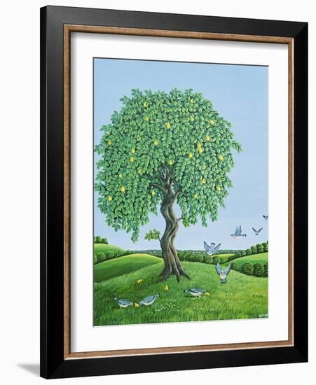 Quince Tree and Pigeons, 1983-Liz Wright-Framed Giclee Print