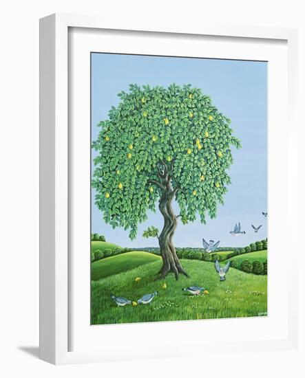 Quince Tree and Pigeons, 1983-Liz Wright-Framed Giclee Print