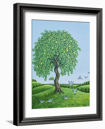 Quince Tree and Pigeons, 1983-Liz Wright-Framed Giclee Print