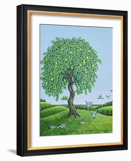 Quince Tree and Pigeons, 1983-Liz Wright-Framed Giclee Print