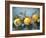 Quinces, 2011,-Cristiana Angelini-Framed Giclee Print