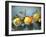 Quinces, 2011,-Cristiana Angelini-Framed Giclee Print