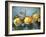 Quinces, 2011,-Cristiana Angelini-Framed Giclee Print