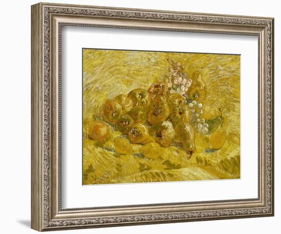 Quinces, Lemons, Pears and Grapes, 1887-1888-Vincent van Gogh-Framed Giclee Print