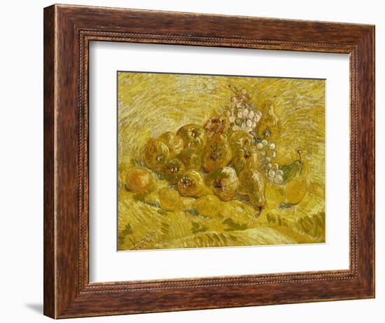 Quinces, Lemons, Pears and Grapes, 1887-1888-Vincent van Gogh-Framed Giclee Print