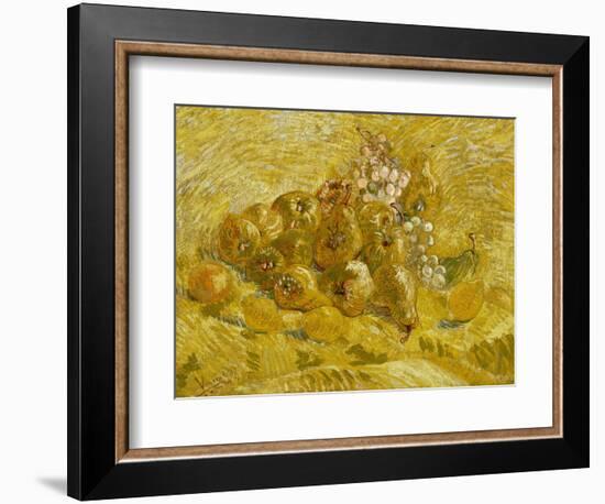 Quinces, Lemons, Pears and Grapes, 1887-1888-Vincent van Gogh-Framed Giclee Print