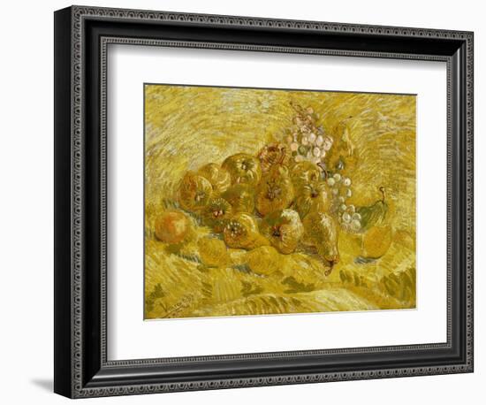 Quinces, Lemons, Pears and Grapes, 1887-1888-Vincent van Gogh-Framed Giclee Print