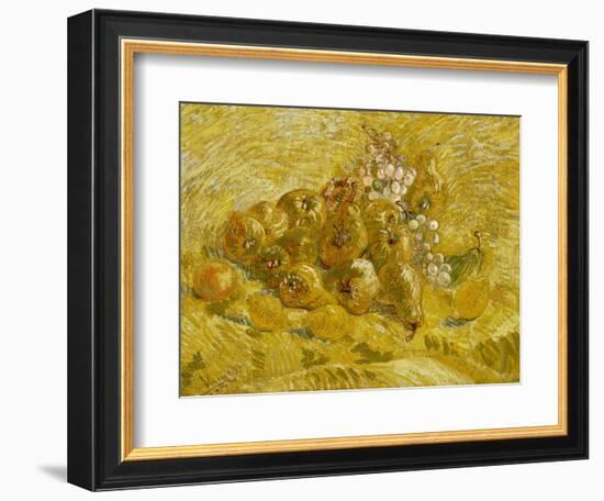 Quinces, Lemons, Pears and Grapes, 1887-1888-Vincent van Gogh-Framed Giclee Print