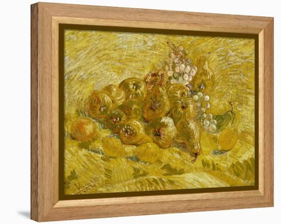 Quinces, Lemons, Pears and Grapes, 1887-1888-Vincent van Gogh-Framed Premier Image Canvas