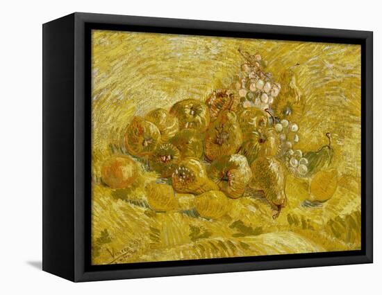 Quinces, Lemons, Pears and Grapes, 1887-1888-Vincent van Gogh-Framed Premier Image Canvas