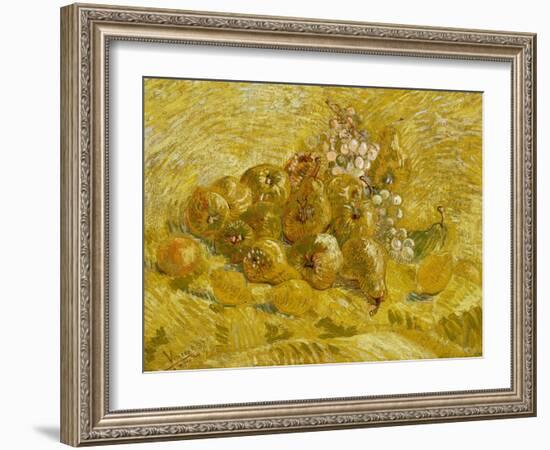 Quinces, Lemons, Pears and Grapes, 1887-1888-Vincent van Gogh-Framed Giclee Print