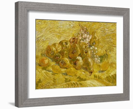 Quinces, Lemons, Pears and Grapes, 1887-1888-Vincent van Gogh-Framed Giclee Print