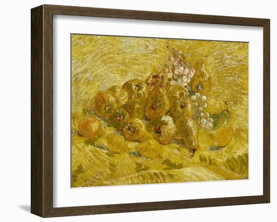 Quinces, Lemons, Pears and Grapes, 1887-1888-Vincent van Gogh-Framed Giclee Print