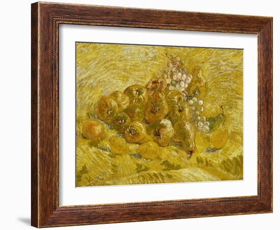 Quinces, Lemons, Pears and Grapes, 1887-1888-Vincent van Gogh-Framed Giclee Print