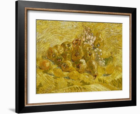 Quinces, Lemons, Pears and Grapes, 1887-1888-Vincent van Gogh-Framed Giclee Print