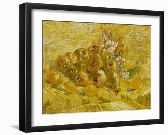 Quinces, Lemons, Pears and Grapes, 1887-1888-Vincent van Gogh-Framed Giclee Print