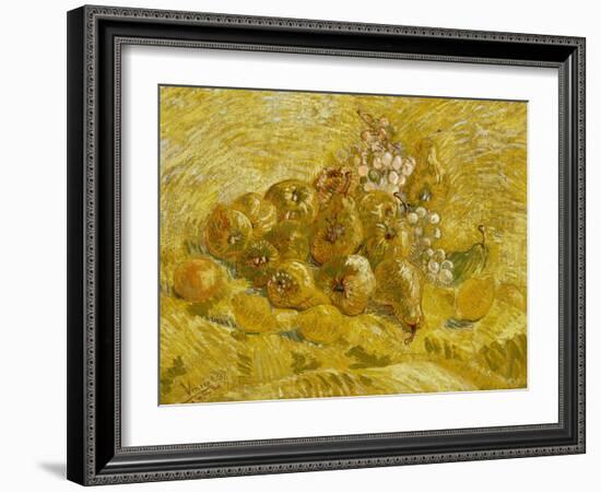 Quinces, Lemons, Pears and Grapes, 1887-1888-Vincent van Gogh-Framed Giclee Print