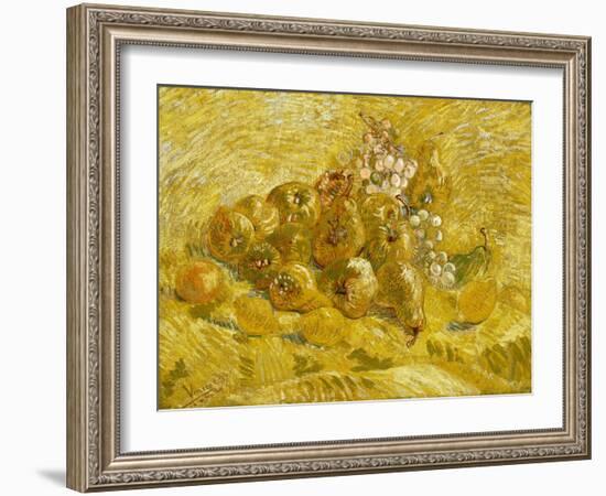 Quinces, Lemons, Pears and Grapes-Vincent van Gogh-Framed Giclee Print