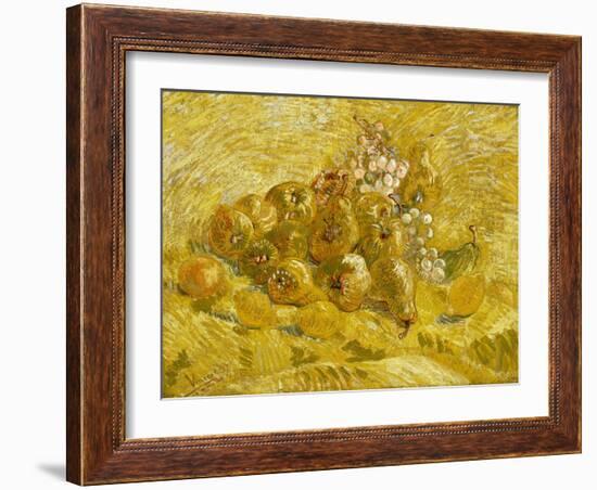 Quinces, Lemons, Pears and Grapes-Vincent van Gogh-Framed Giclee Print