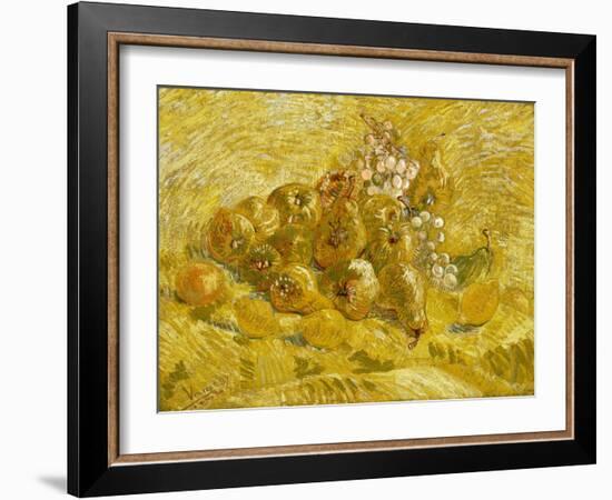 Quinces, Lemons, Pears and Grapes-Vincent van Gogh-Framed Giclee Print