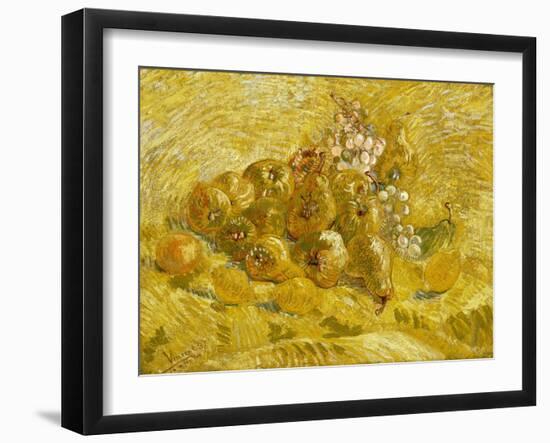 Quinces, Lemons, Pears and Grapes-Vincent van Gogh-Framed Giclee Print