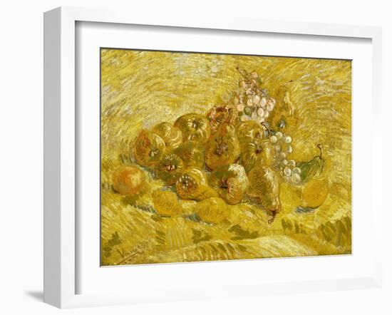 Quinces, Lemons, Pears and Grapes-Vincent van Gogh-Framed Giclee Print