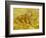 Quinces, Lemons, Pears and Grapes-Vincent van Gogh-Framed Giclee Print