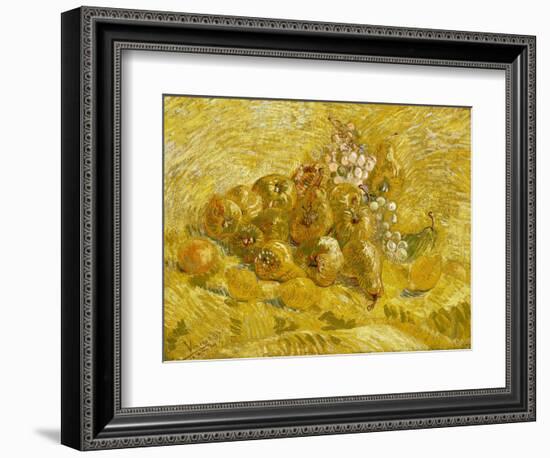 Quinces, Lemons, Pears and Grapes-Vincent van Gogh-Framed Giclee Print