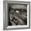 Quincy Market and Faneuil Hall 1906-H.C. White-Framed Photo