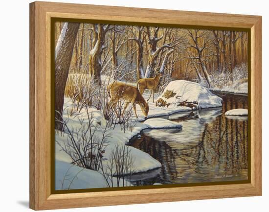 Quinnipiac River White Tails-Bruce Dumas-Framed Premier Image Canvas