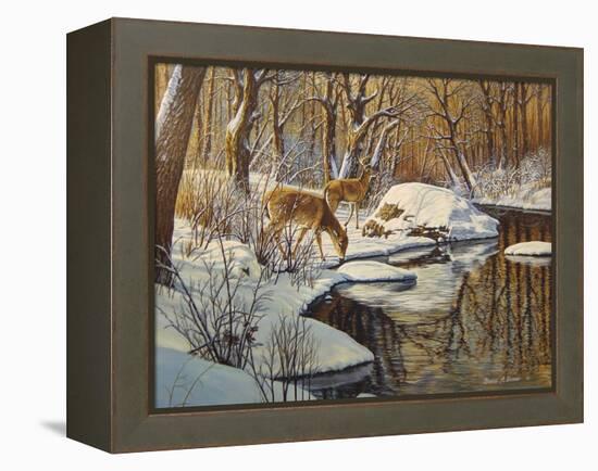 Quinnipiac River White Tails-Bruce Dumas-Framed Premier Image Canvas