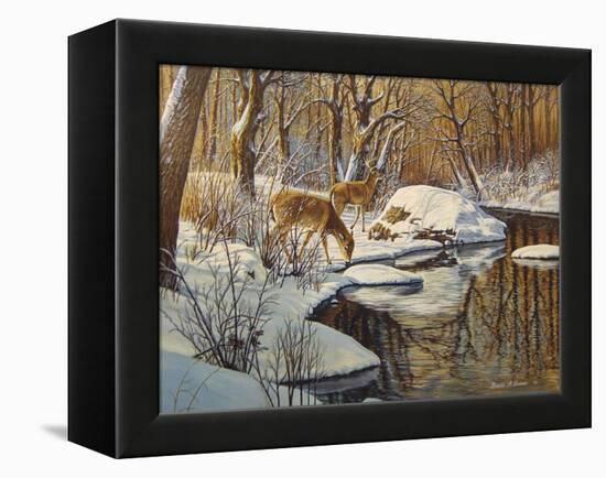 Quinnipiac River White Tails-Bruce Dumas-Framed Premier Image Canvas