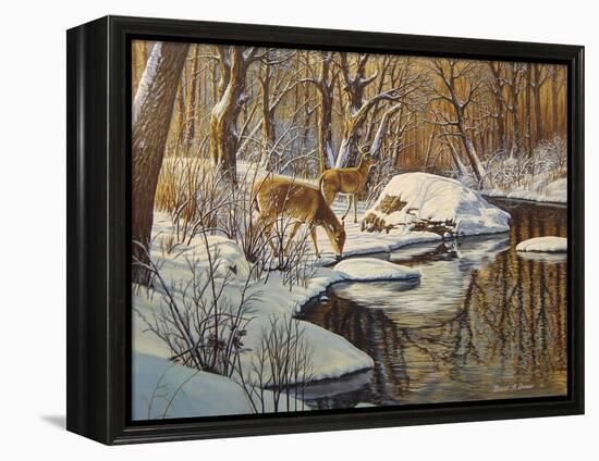 Quinnipiac River White Tails-Bruce Dumas-Framed Premier Image Canvas