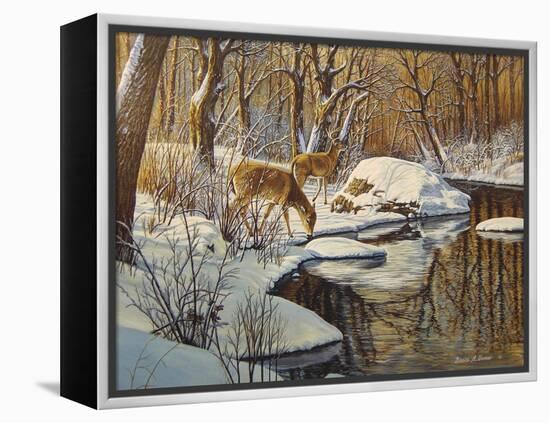 Quinnipiac River White Tails-Bruce Dumas-Framed Premier Image Canvas