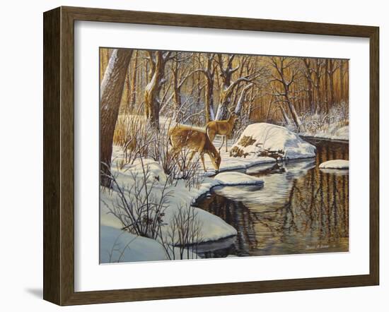 Quinnipiac River White Tails-Bruce Dumas-Framed Giclee Print