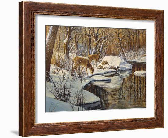 Quinnipiac River White Tails-Bruce Dumas-Framed Giclee Print