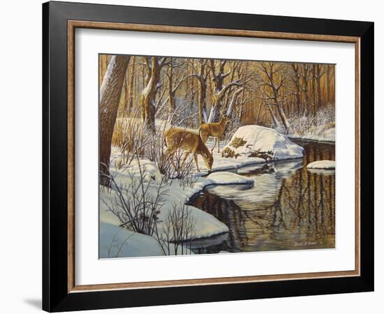 Quinnipiac River White Tails-Bruce Dumas-Framed Giclee Print