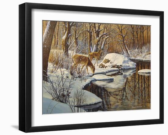 Quinnipiac River White Tails-Bruce Dumas-Framed Giclee Print