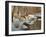 Quinnipiac River White Tails-Bruce Dumas-Framed Giclee Print