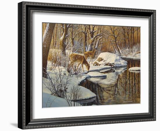 Quinnipiac River White Tails-Bruce Dumas-Framed Giclee Print