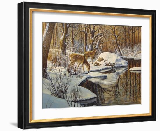 Quinnipiac River White Tails-Bruce Dumas-Framed Giclee Print