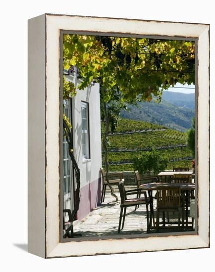 Quinta Nova De Nossa Senhora Do Carmo Estate in Northern Portugal in the Renowned Douro Valley-Camilla Watson-Framed Premier Image Canvas