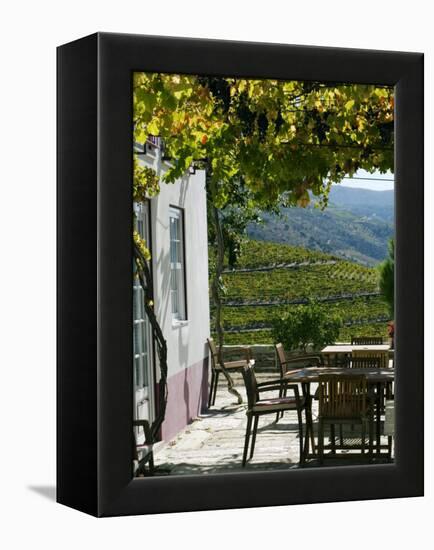 Quinta Nova De Nossa Senhora Do Carmo Estate in Northern Portugal in the Renowned Douro Valley-Camilla Watson-Framed Premier Image Canvas