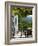 Quinta Nova De Nossa Senhora Do Carmo Estate in Northern Portugal in the Renowned Douro Valley-Camilla Watson-Framed Photographic Print