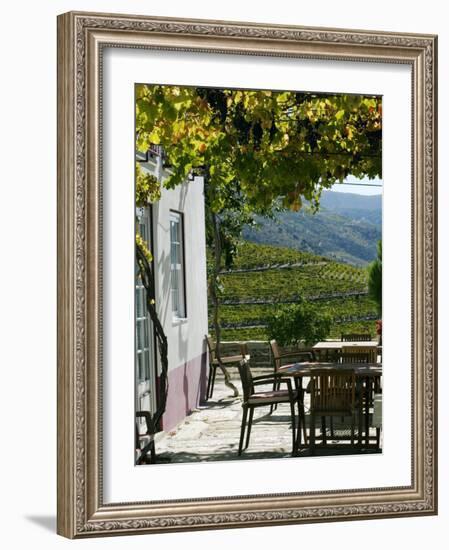 Quinta Nova De Nossa Senhora Do Carmo Estate in Northern Portugal in the Renowned Douro Valley-Camilla Watson-Framed Photographic Print