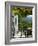 Quinta Nova De Nossa Senhora Do Carmo Estate in Northern Portugal in the Renowned Douro Valley-Camilla Watson-Framed Photographic Print